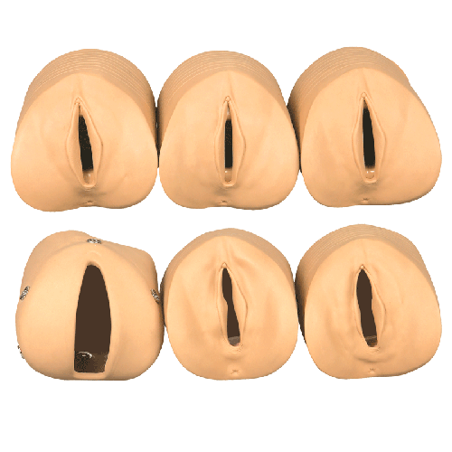 產(chǎn)前宮頸變化與產(chǎn)道關系模型 產(chǎn)前宮頸變化與產(chǎn)道關系模型